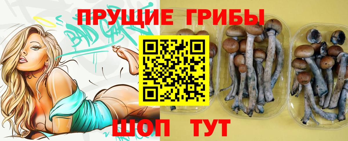 Галлюциногенные грибы ЛСД Алейск