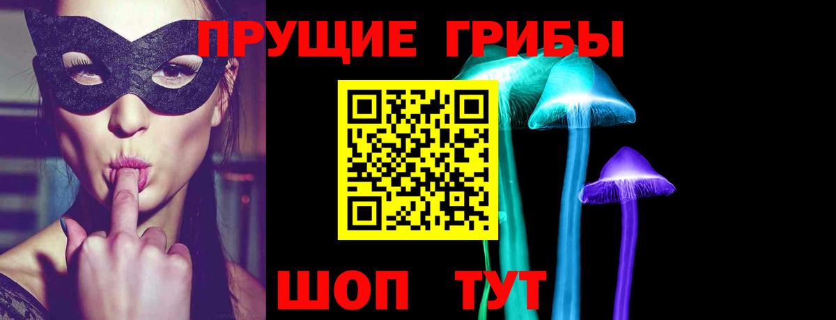Псилоцибиновые грибы Cubensis  цены наркотик  Алейск  Вход с VPN  Псилоцибиновые грибы Psilocybe 